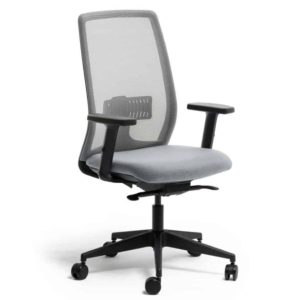 New Light Gris ( EN STOCK )